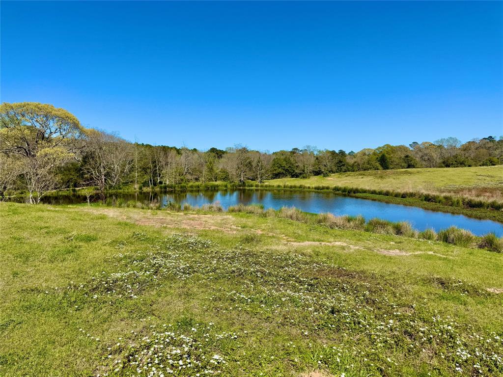 TBD County Road 2780, Woodville, Texas image 5