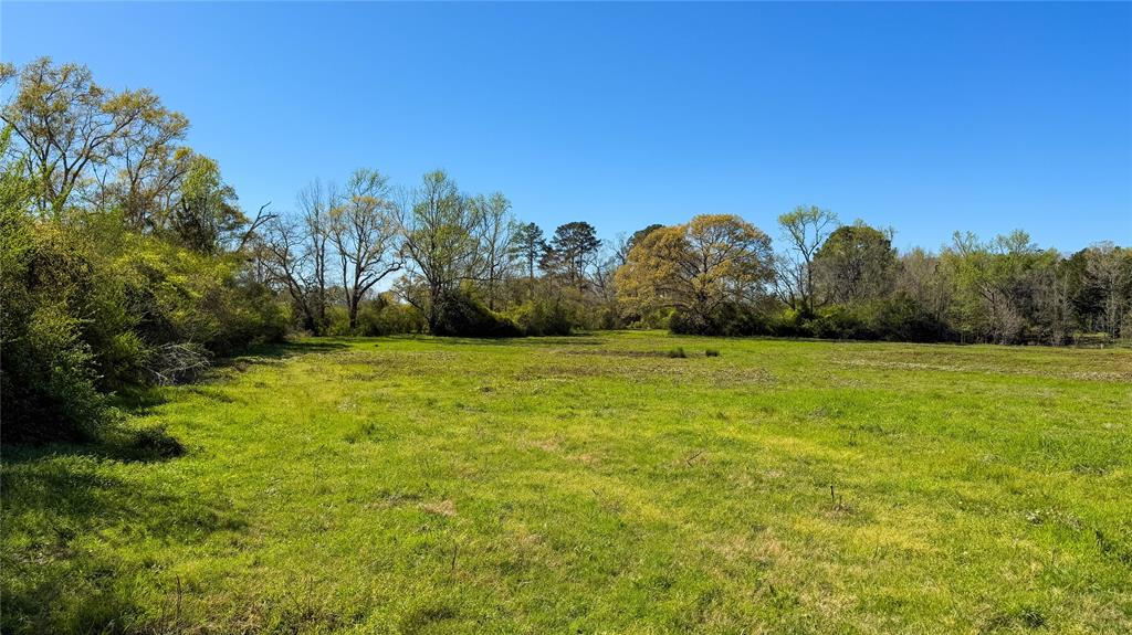 TBD County Road 2780, Woodville, Texas image 35