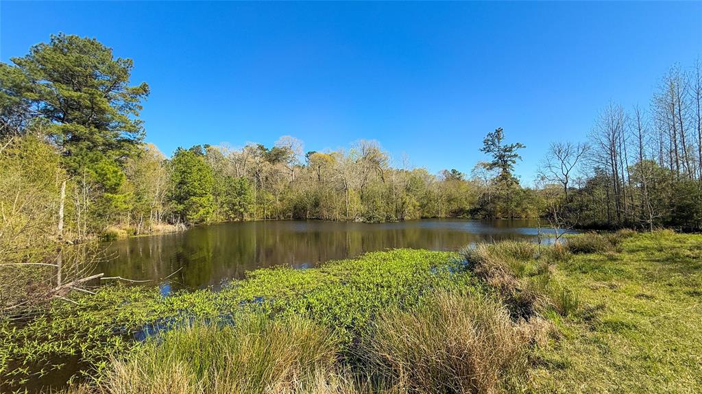 TBD County Road 2780, Woodville, Texas image 38