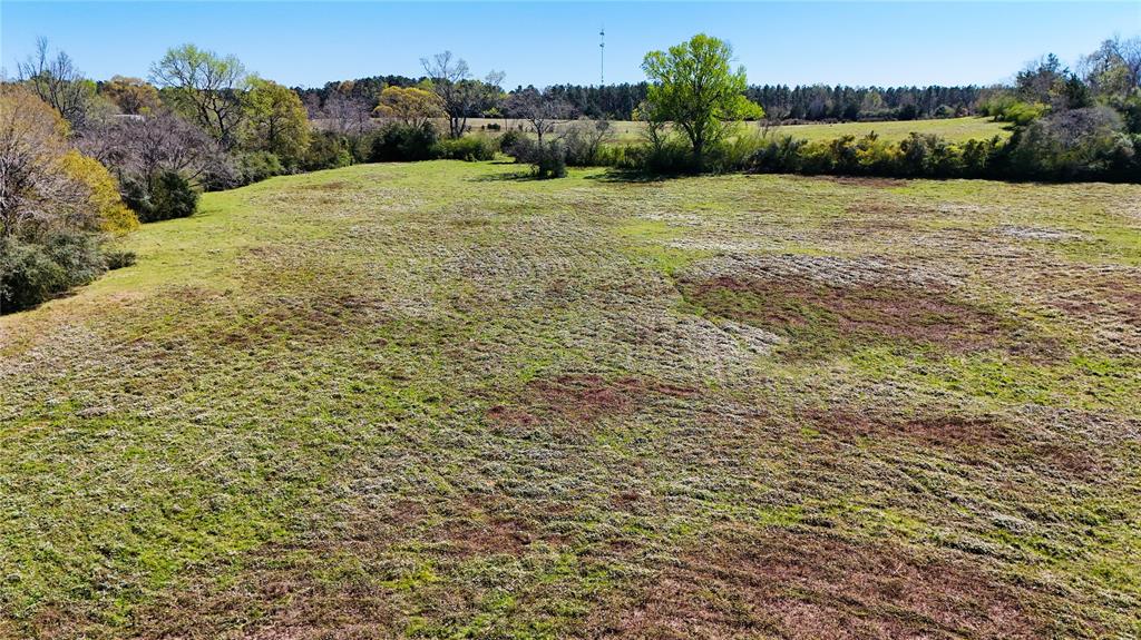 TBD County Road 2780, Woodville, Texas image 13