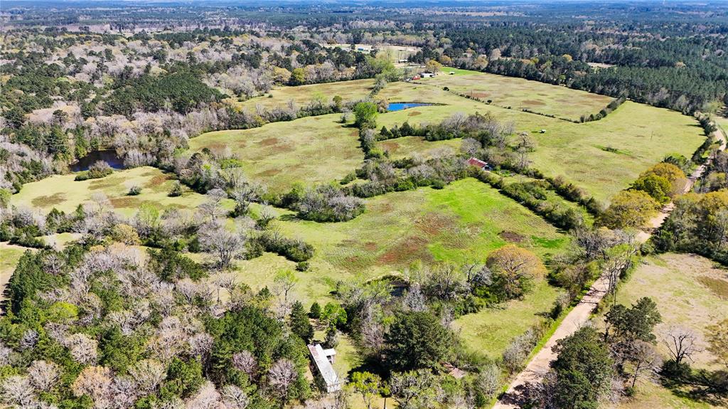 TBD County Road 2780, Woodville, Texas image 29