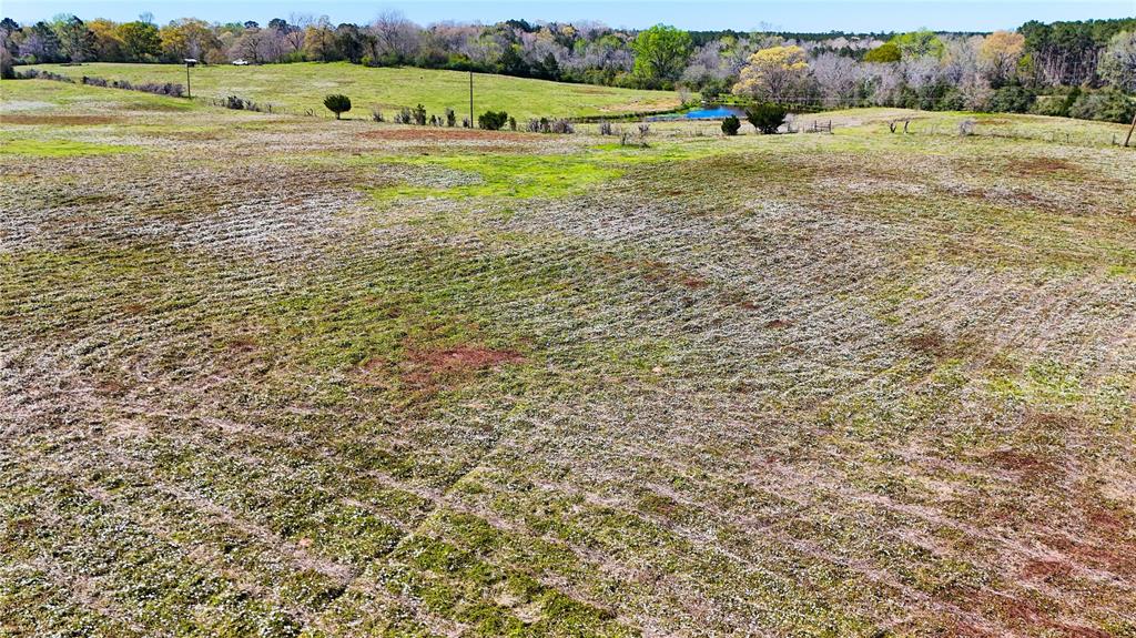TBD County Road 2780, Woodville, Texas image 15