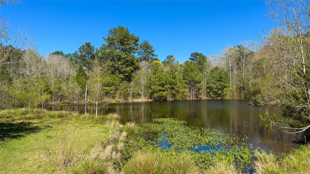 TBD County Road 2780, Woodville, Texas image 37