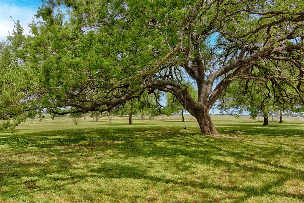 7755 Fm 1295, Moulton, Texas image 45