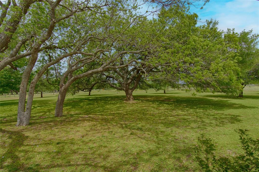 7755 Fm 1295, Moulton, Texas image 44
