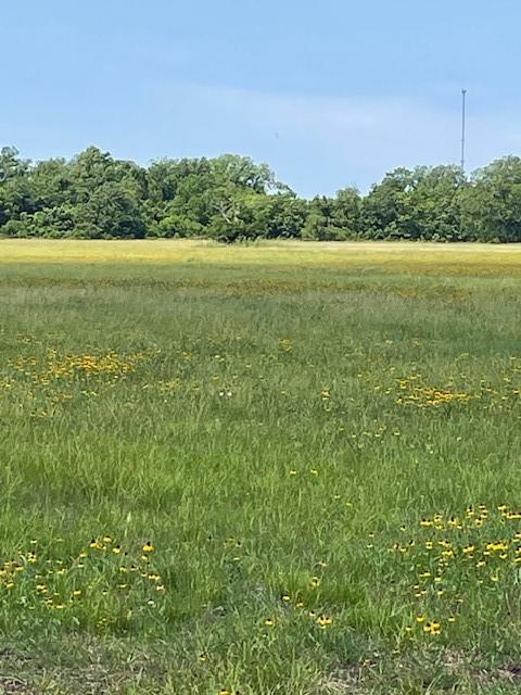0000 Cr 164 Road, Boling, Texas image 5
