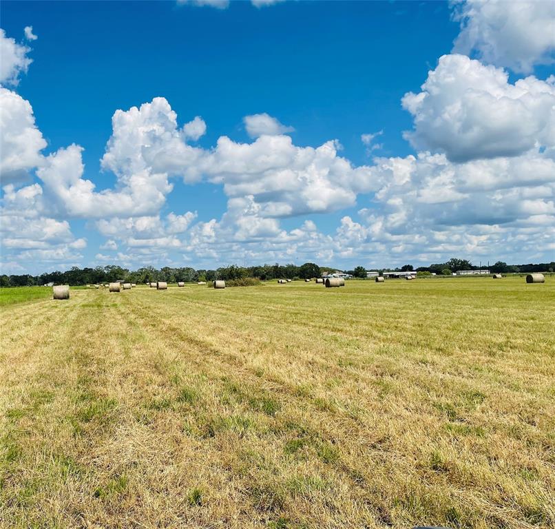0000 Cr 164 Road, Boling, Texas image 2