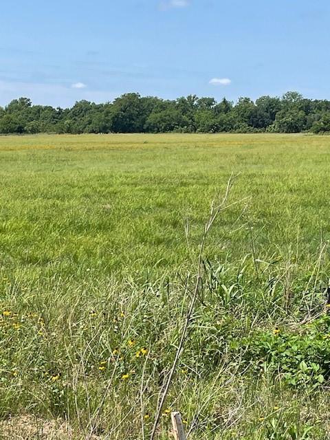 0000 Cr 164 Road, Boling, Texas image 3