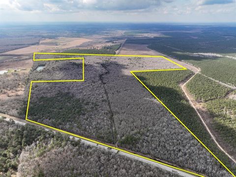 Vacant Land For Sale - 1 Fm 770<br/> Hardin County, Saratoga, TX 77585