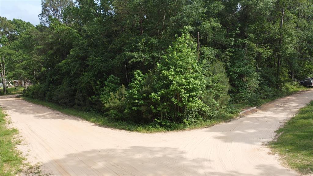 TBD Blue Quail Drive, Coldspring, Texas image 1