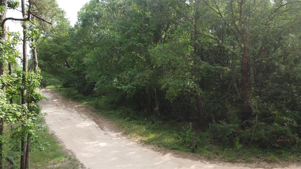 TBD Blue Quail Drive, Coldspring, Texas image 6