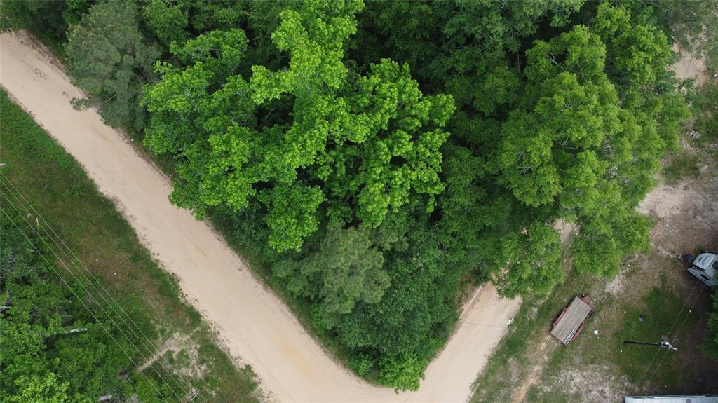 TBD Blue Quail Drive, Coldspring, Texas image 3