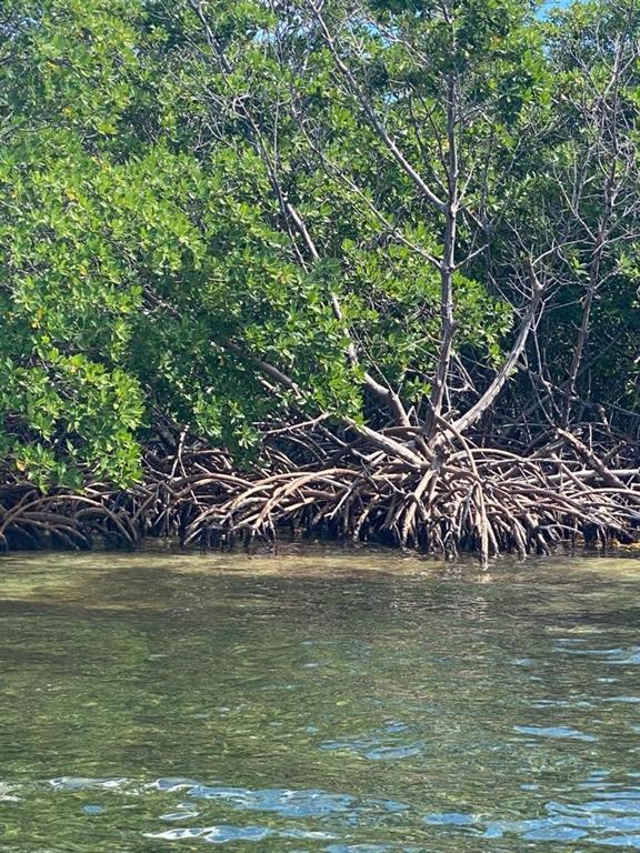 3.1 Acres South Long Caye - Belize Central America