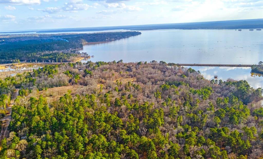 5 Lots Hickory Ridge Drive, Trinity, Texas image 1