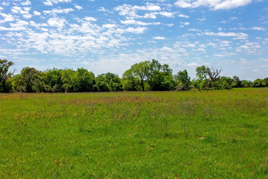 6558 Farm To Market 1119, Centerville, Texas image 17