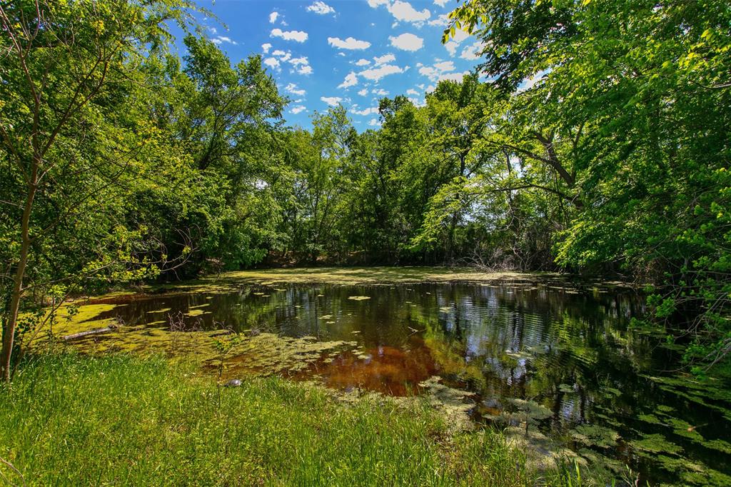 6558 Farm To Market 1119, Centerville, Texas image 3