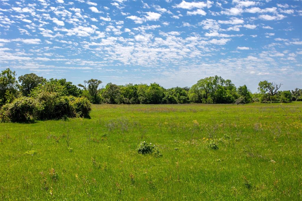 6558 Farm To Market 1119, Centerville, Texas image 16