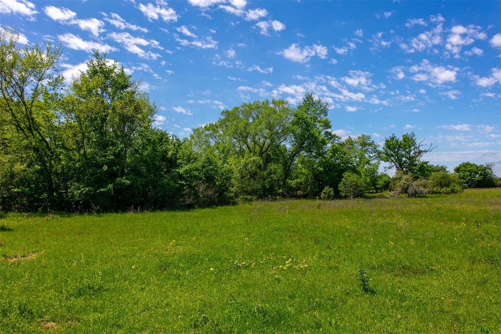 6558 Farm To Market 1119, Centerville, Texas image 18