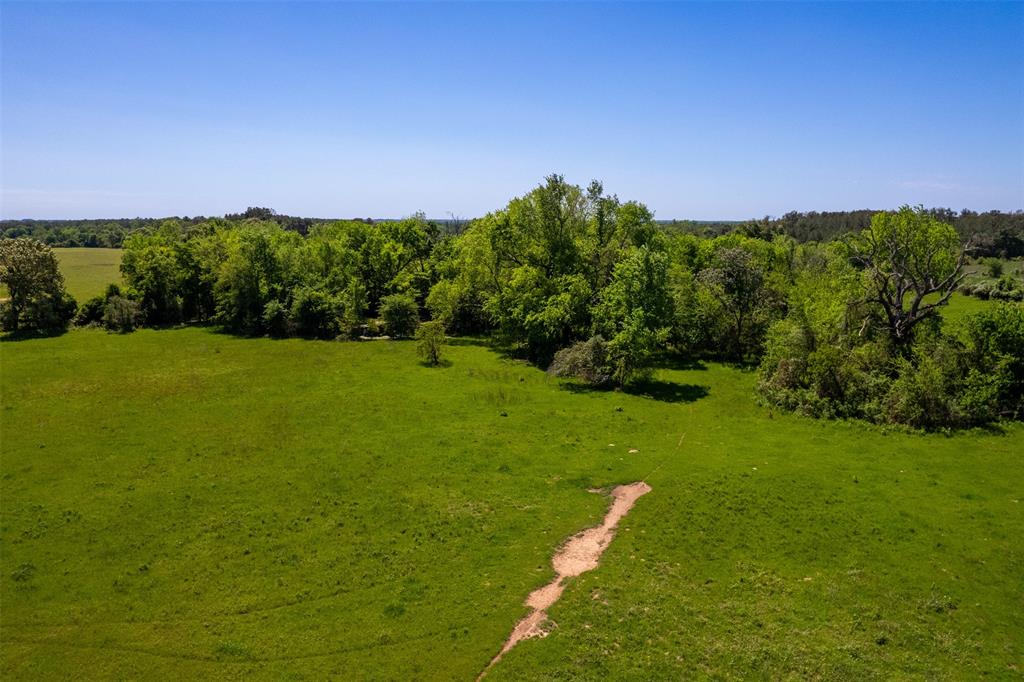 6558 Farm To Market 1119, Centerville, Texas image 22