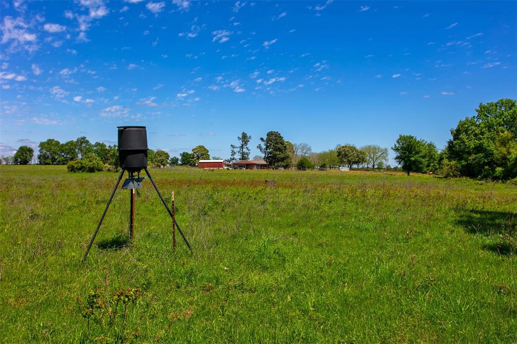 6558 Farm To Market 1119, Centerville, Texas image 2