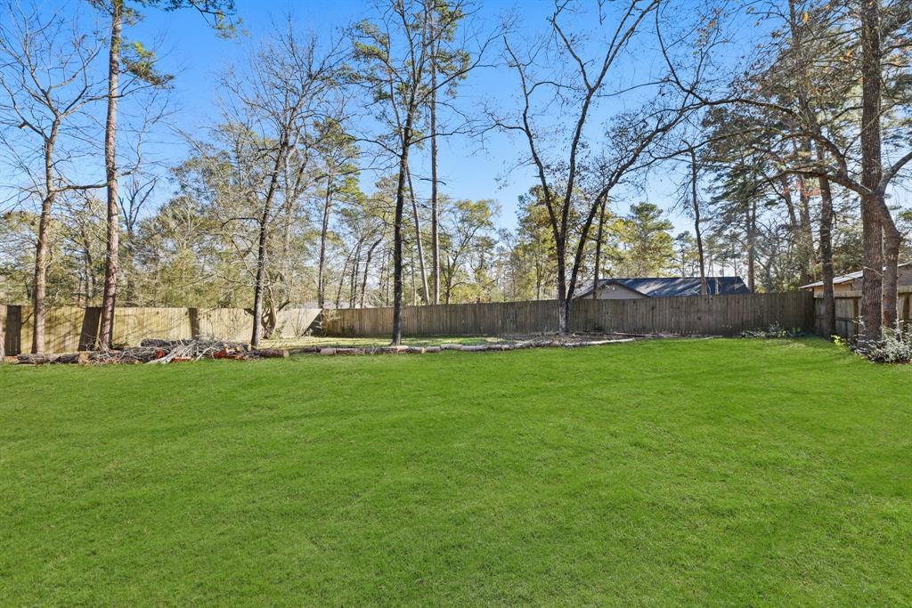 10668 Royal Magnolia Drive, Conroe, Texas image 19