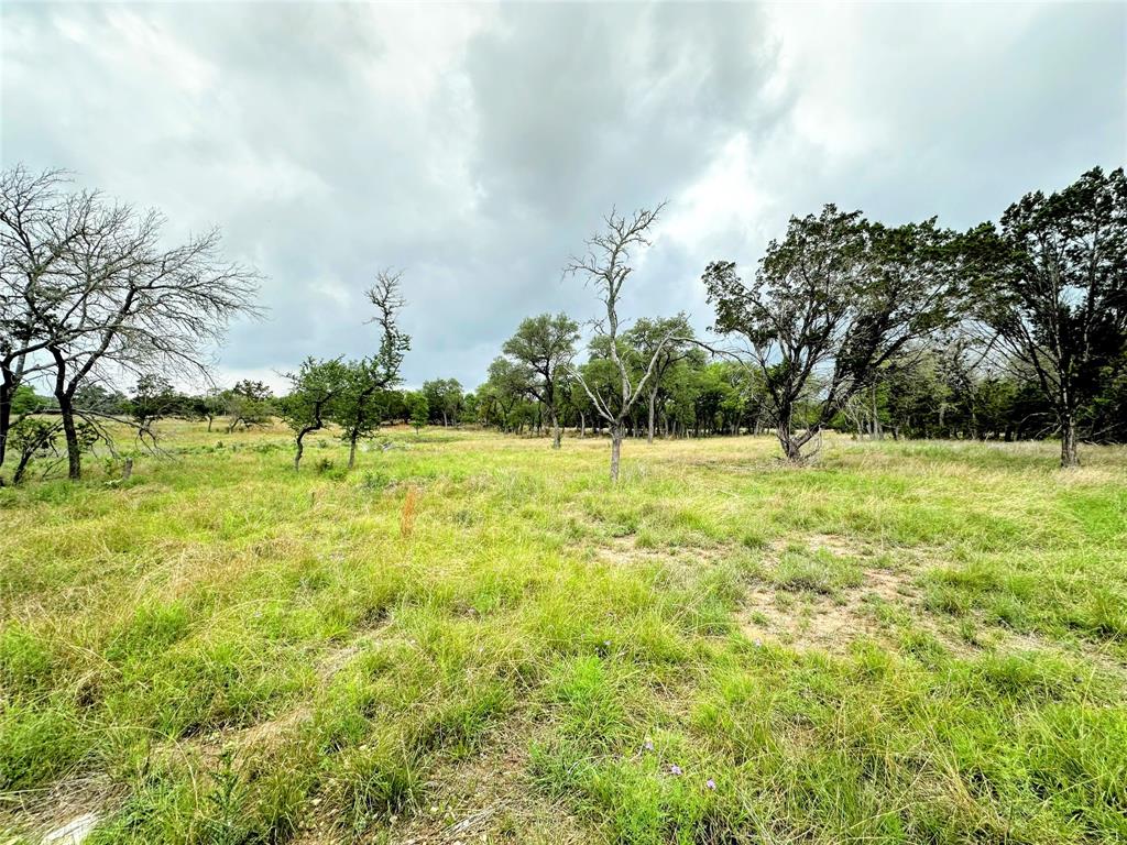 3737 Bruce Lot 6 Road, Poteet, Texas image 8