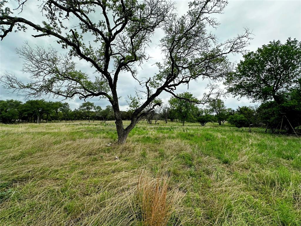 3737 Bruce Lot 6 Road, Poteet, Texas image 5