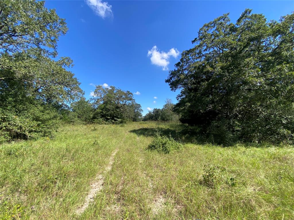 170 ACRES County Road 146, Bedias, Texas image 45