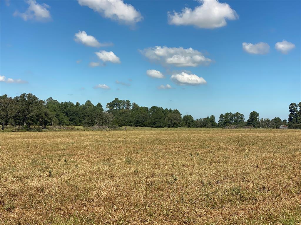 170 ACRES County Road 146, Bedias, Texas image 10