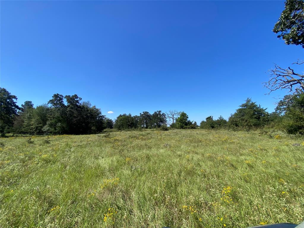 170 ACRES County Road 146, Bedias, Texas image 36