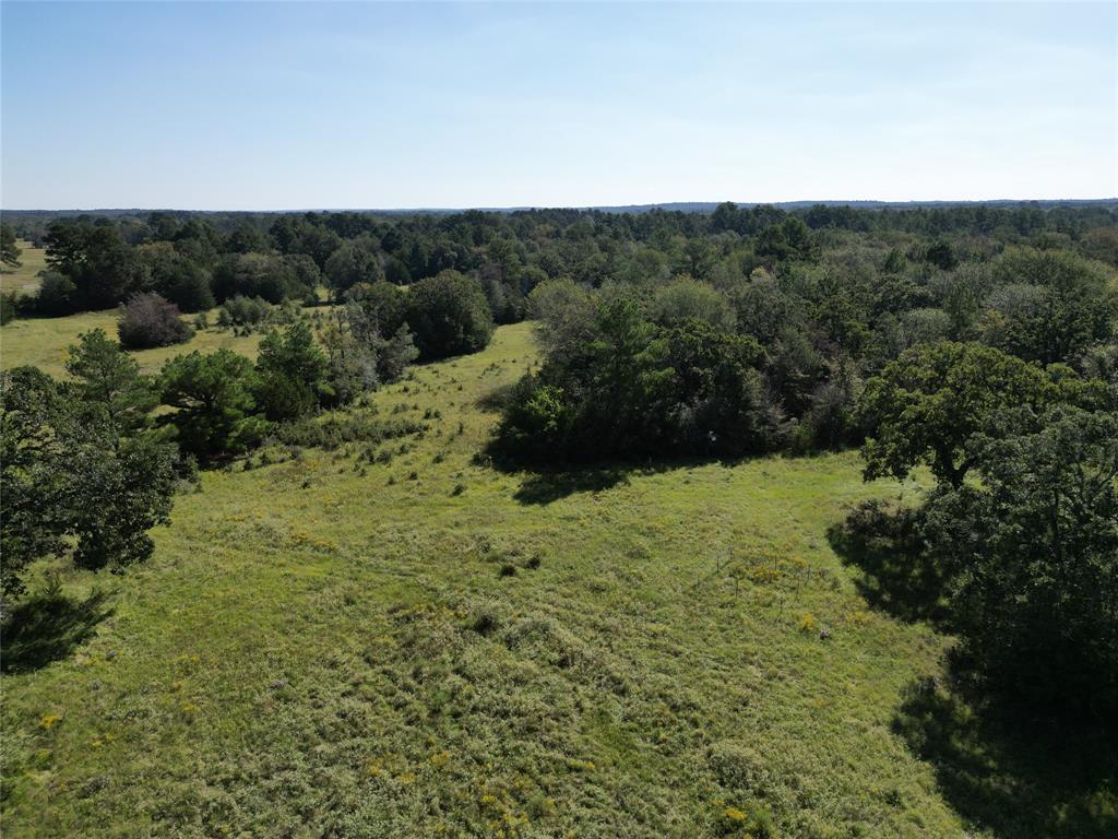 170 ACRES County Road 146, Bedias, Texas image 8