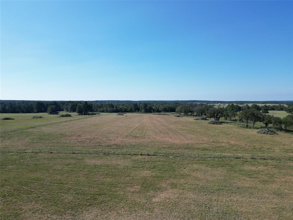 170 ACRES County Road 146, Bedias, Texas image 37