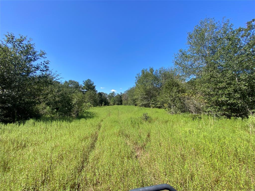 170 ACRES County Road 146, Bedias, Texas image 43