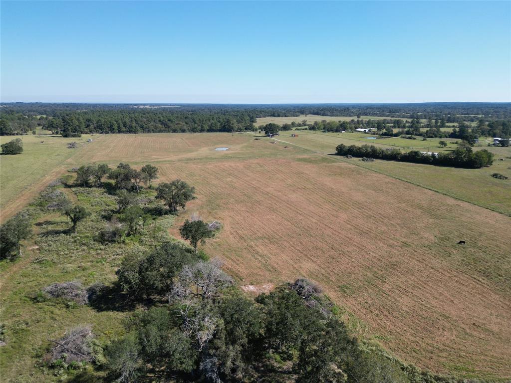 170 ACRES County Road 146, Bedias, Texas image 19