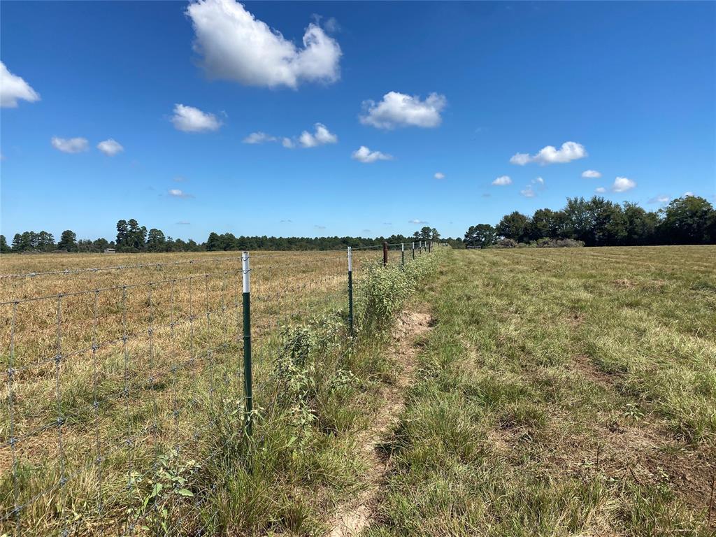 170 ACRES County Road 146, Bedias, Texas image 38