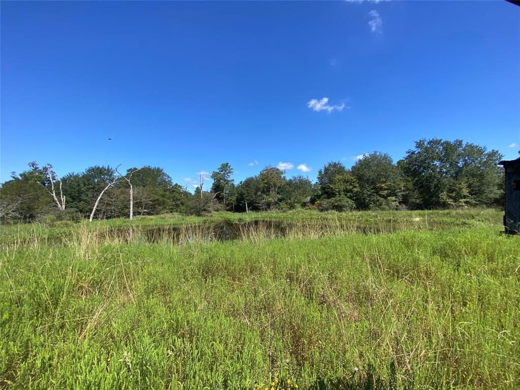 170 ACRES County Road 146, Bedias, Texas image 42