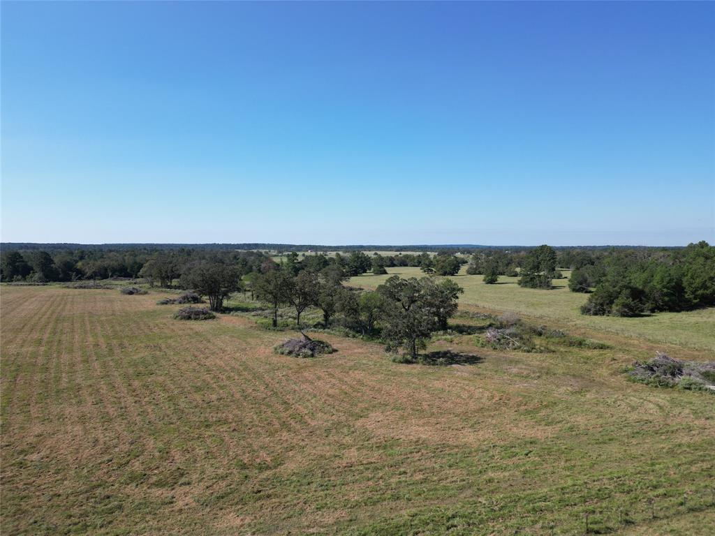 170 ACRES County Road 146, Bedias, Texas image 11