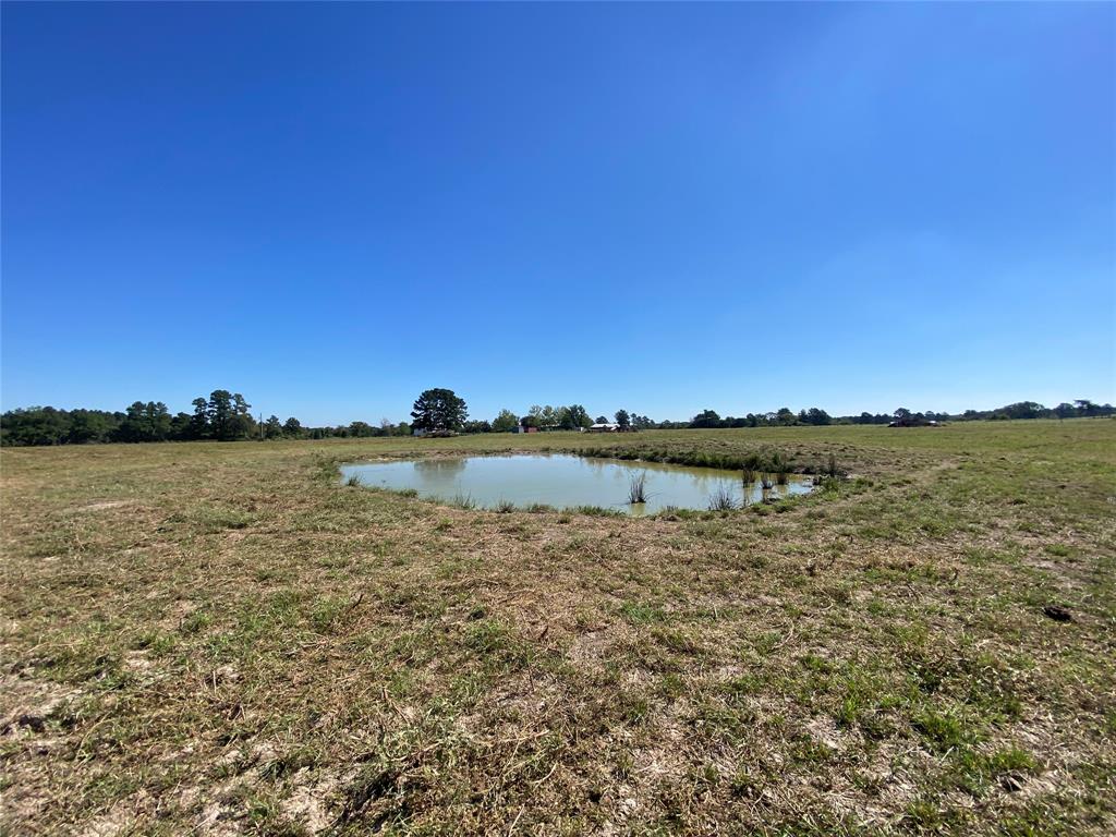 170 ACRES County Road 146, Bedias, Texas image 17