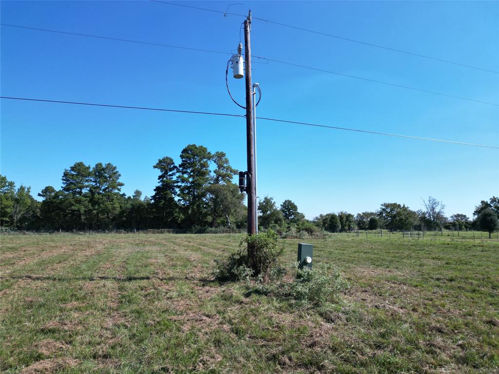 170 ACRES County Road 146, Bedias, Texas image 5