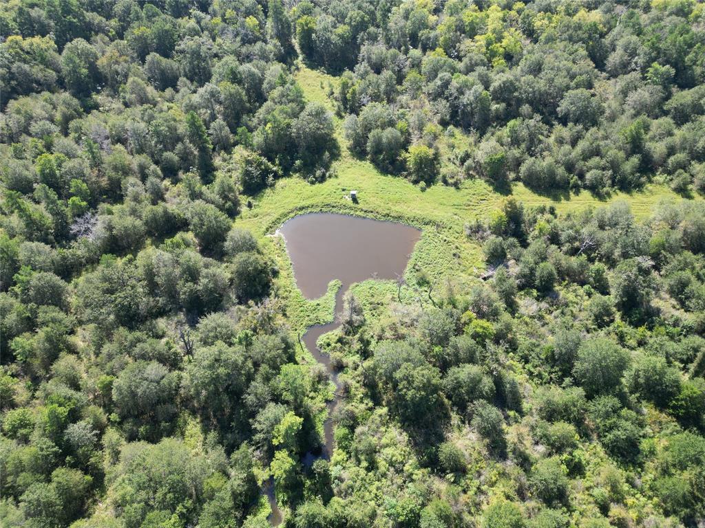 170 ACRES County Road 146, Bedias, Texas image 25