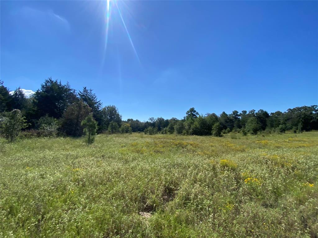 170 ACRES County Road 146, Bedias, Texas image 39