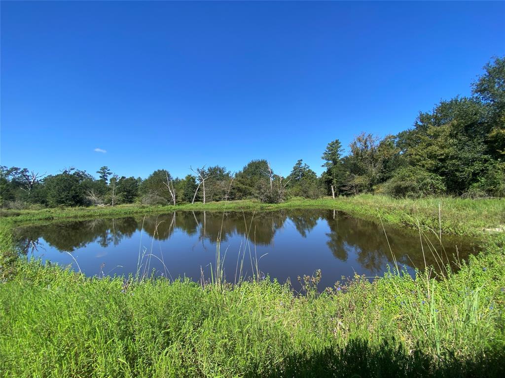 170 ACRES County Road 146, Bedias, Texas image 26