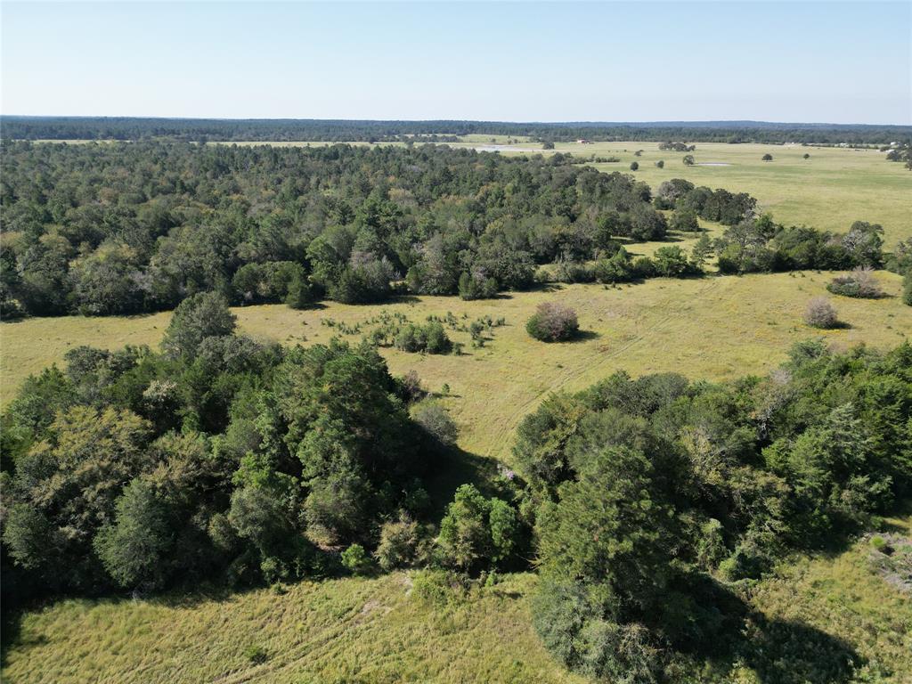 170 ACRES County Road 146, Bedias, Texas image 7