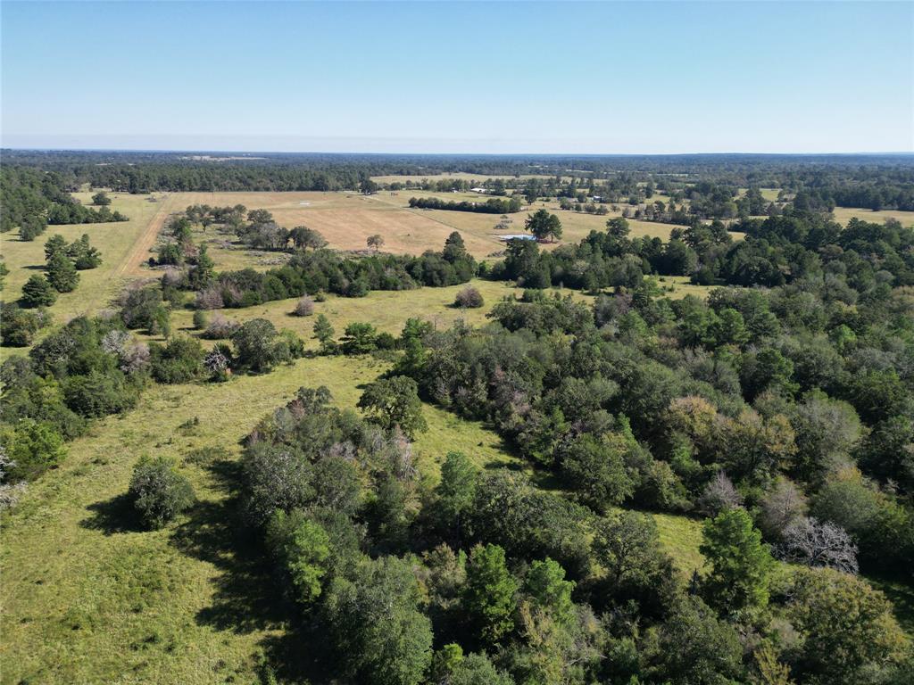 170 ACRES County Road 146, Bedias, Texas image 23