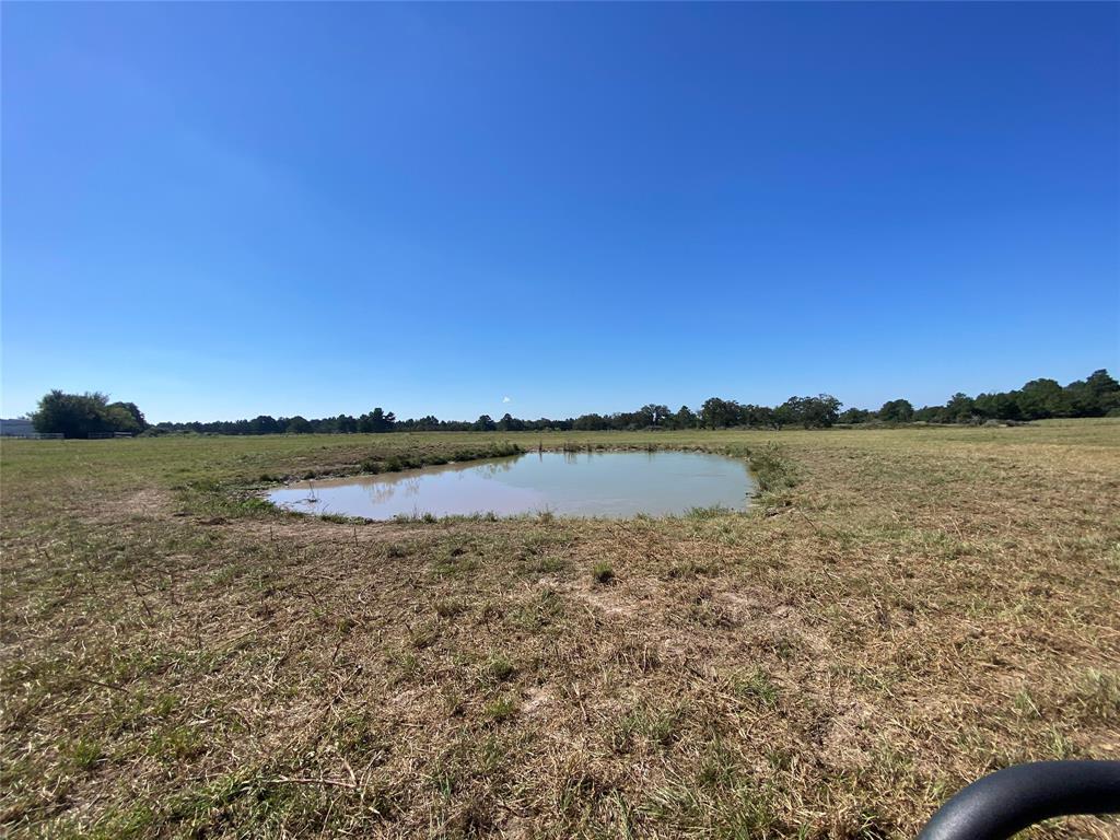 170 ACRES County Road 146, Bedias, Texas image 22