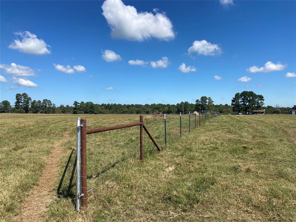 170 ACRES County Road 146, Bedias, Texas image 6