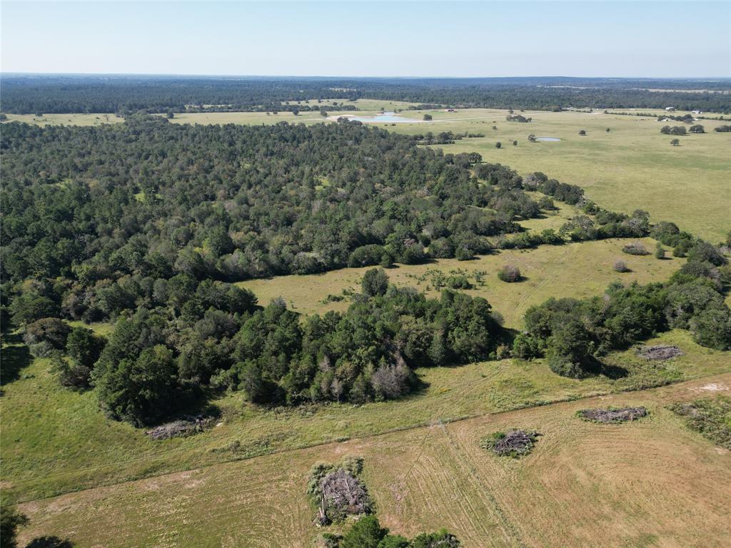 170 ACRES County Road 146, Bedias, Texas image 35