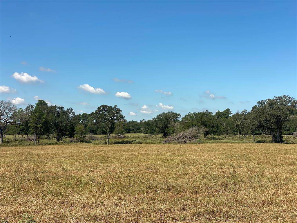 170 ACRES County Road 146, Bedias, Texas image 14