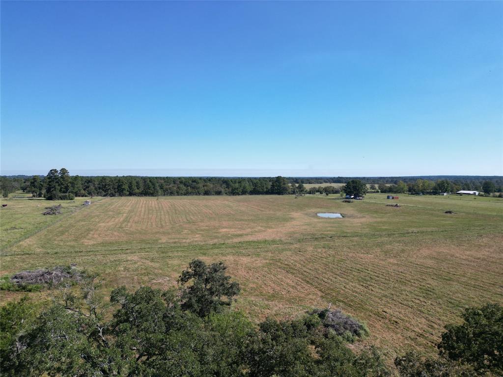 170 ACRES County Road 146, Bedias, Texas image 16