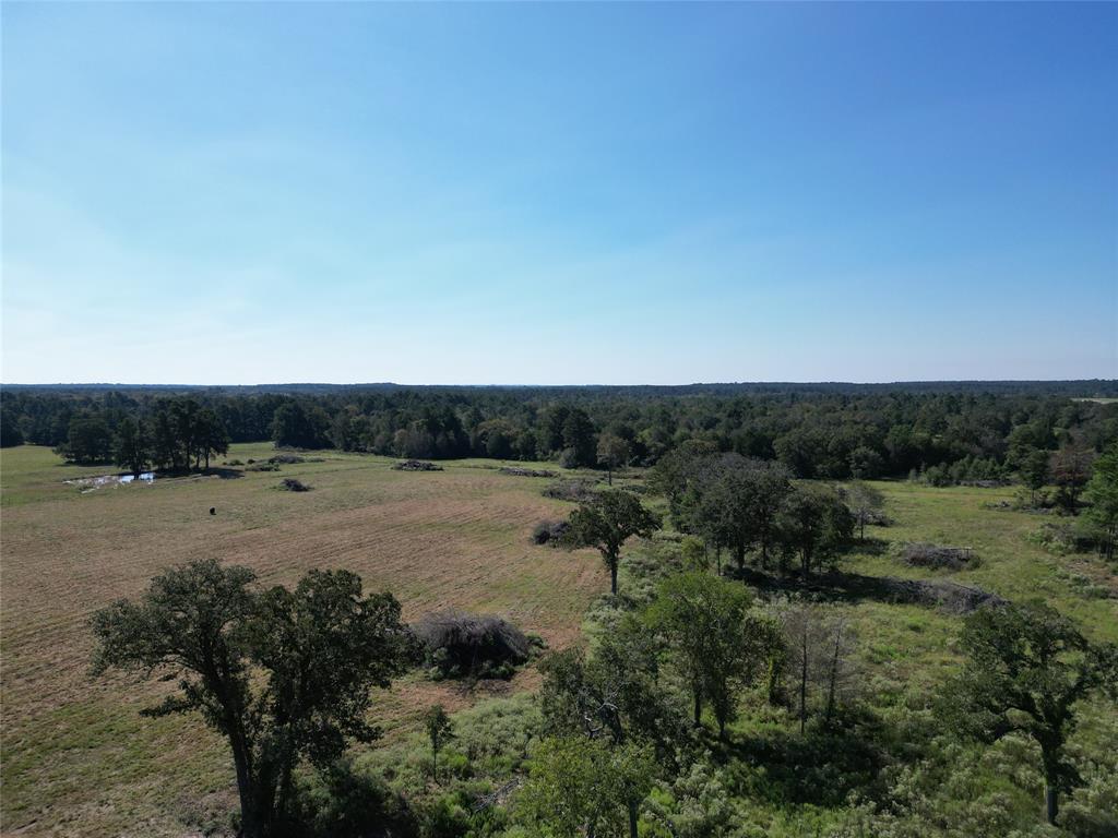 170 ACRES County Road 146, Bedias, Texas image 13